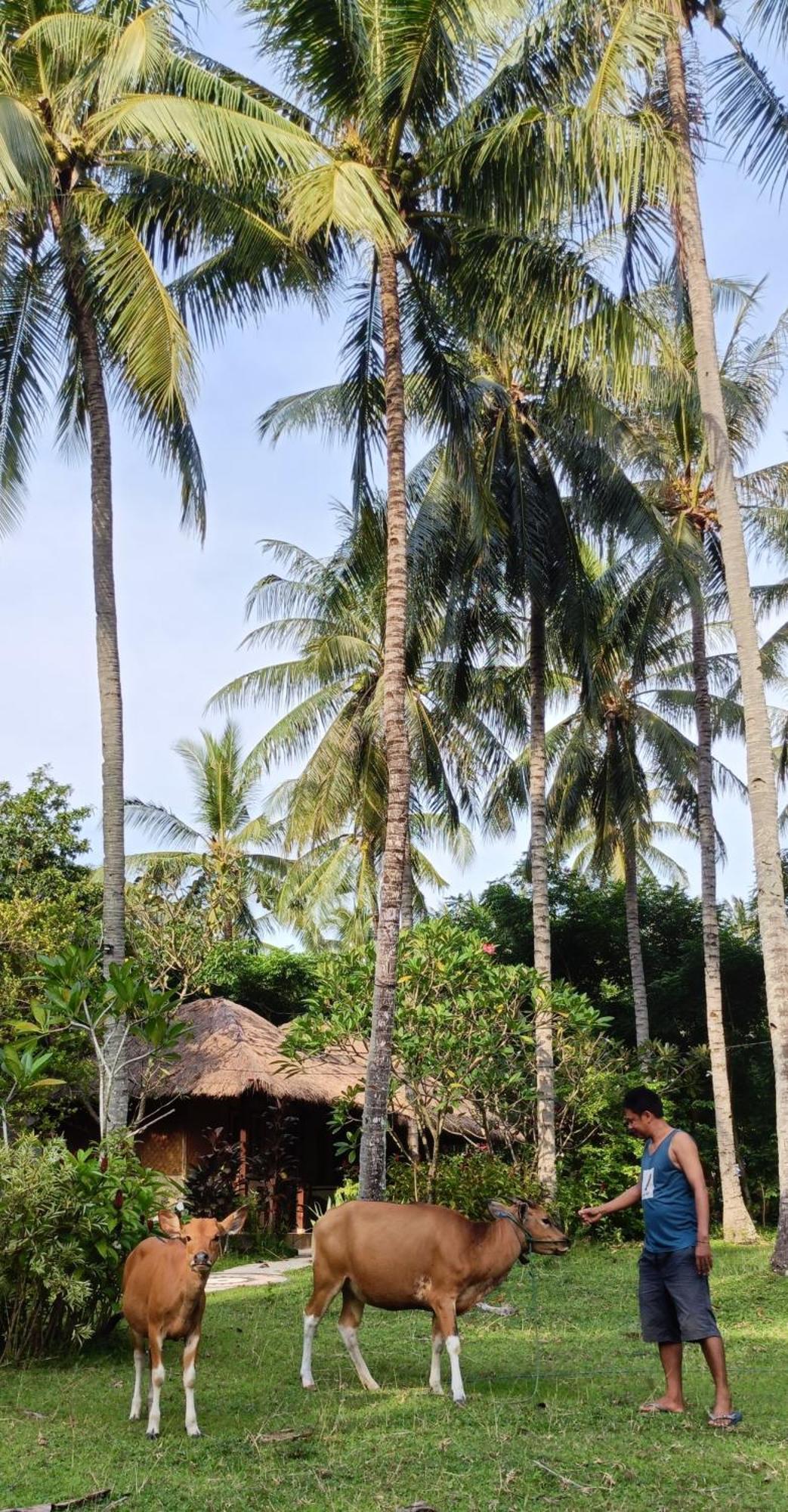 Lendang Eco Lodge Сенгиги Екстериор снимка